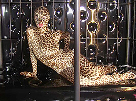 Wild leopard strip watch4fetish...