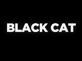 Black Cat...