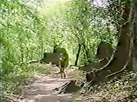 Tarzan 2 1995...