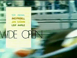 Wide open 1974 swedish retro porn...
