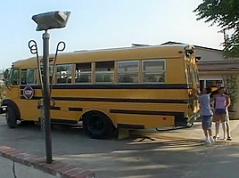 Ashley Blue Works Two Weiners School Bus...