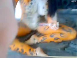 Tigress Webcam...