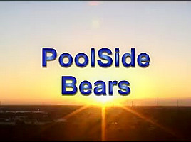 Poolside bears...