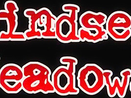 Lindsey meadows , movie...