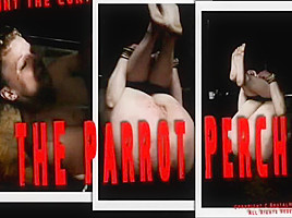 Bm The Parrot Perch...