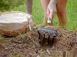Brazzers The Gardener Link To Full Scene In Comments Section...