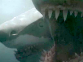 Carmen Electra Brooke Hogan Amber English Anna Jackson In 2 Headed Shark Attack 2012...