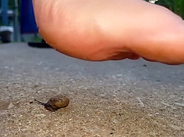 Barefoot snail crush...