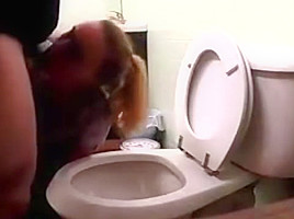 Toilet licking compilation...