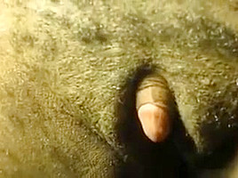 Best amateur Close-up, Big Clit porn clip