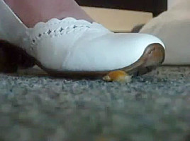 Candid camera snail meets white shoes...