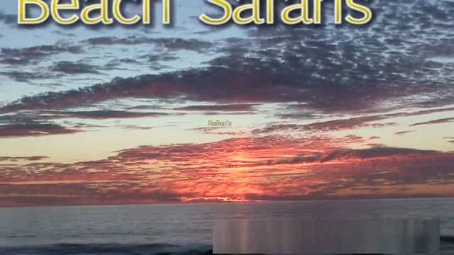 Rafian&#039;s Beach Safaris 30